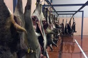Solsona acull una jornada sobre la comercialització de la carn de caça