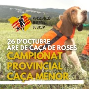 Campionat Provincial