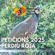 Peticions perdiu 2025