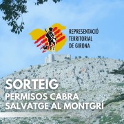 SorteigMontgrí25