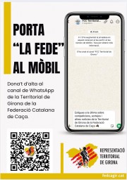 WhatsApp Fede