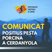 Comunicat pesta porcina