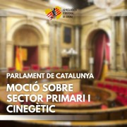 Moció Parlament