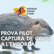 Prova pilot coipú